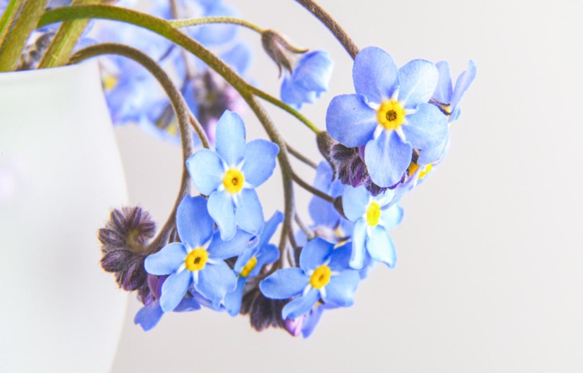 Best Summer Outfit For Men